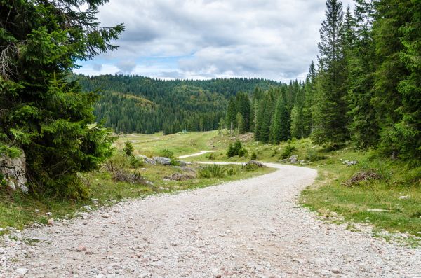 Gravel Road Grading in Lebanon
