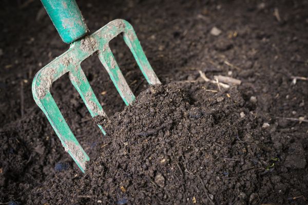 Topsoil Spreading in Lebanon