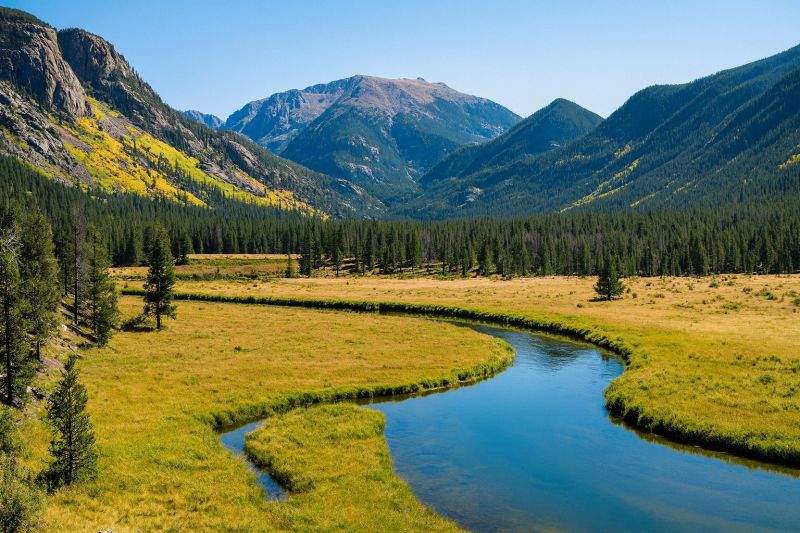 Land Shaping Service